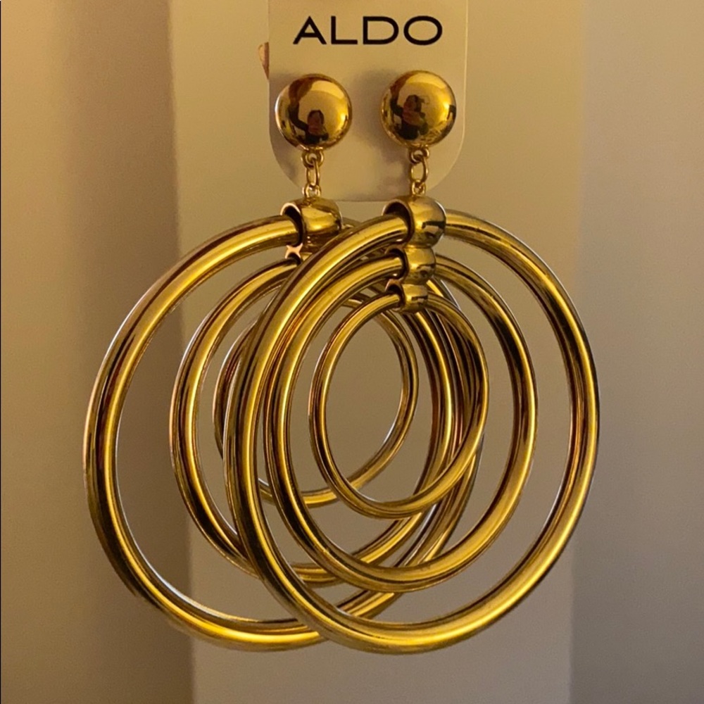 *NWT* Aldo Hug Hoop Earrings
